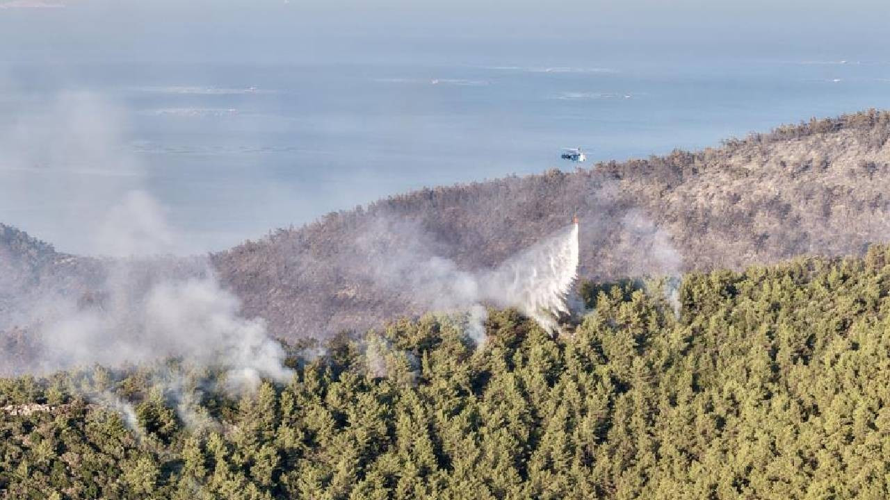 Antalya'da ormanlık alanda yangın: Havadan ve karadan müdahale ediliyor