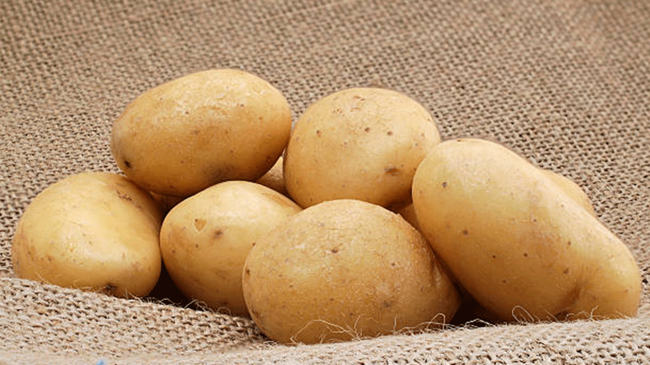 Muzdan bile güçlü potasyum deposu çıktı: Patates hakkındaki o gerçekler şaşırttı!