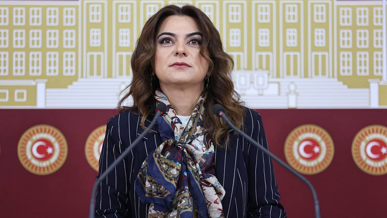 DEM Parti: Silahların devreden çıkarılması hukuki güvenceye bağlanmalıdır