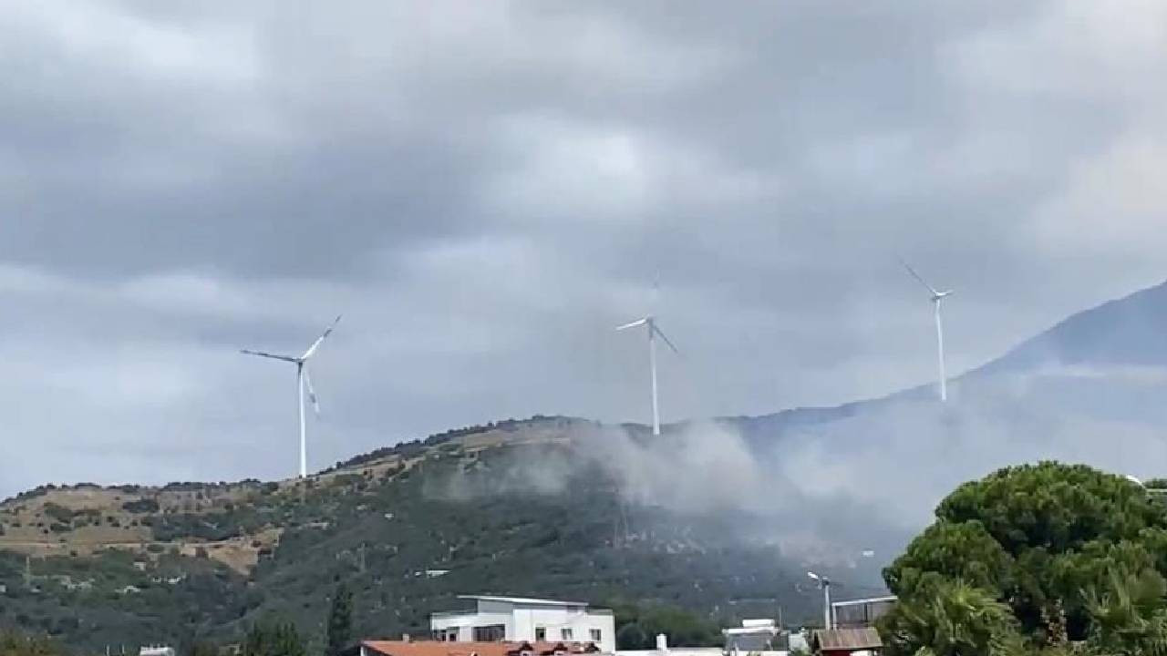 Balıkesir Erdek'te orman yangını