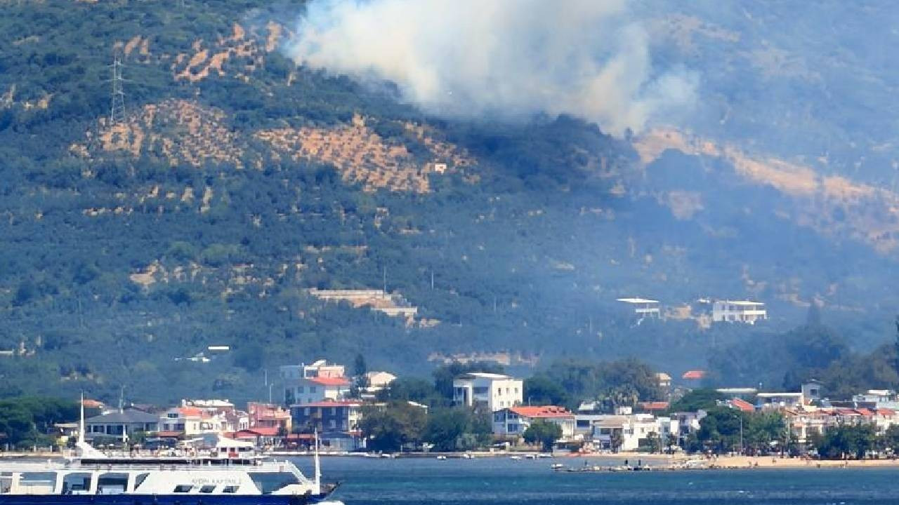 Balıkesir'e bağlı Marmara Adası'nda orman yangını (Video)