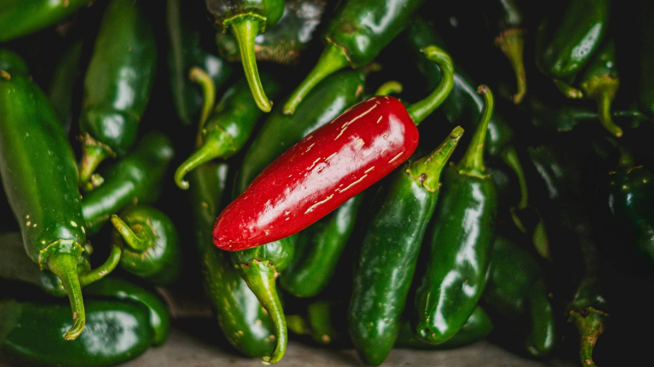 ABD'de jalapeno biberi kaynaklı salmonella salgını 27 eyalete yayıldı