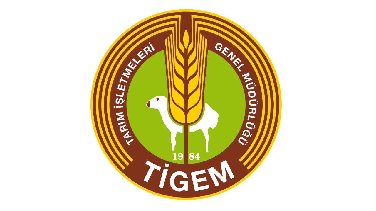 TİGEM, 7 bin 350 baş reforme küçükbaş satacak