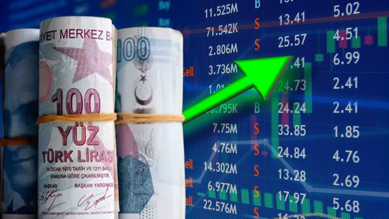 Bu hisseleri seçenler 1 yılda paralarını katladı! İşte en çok kazandıran hisse senetleri