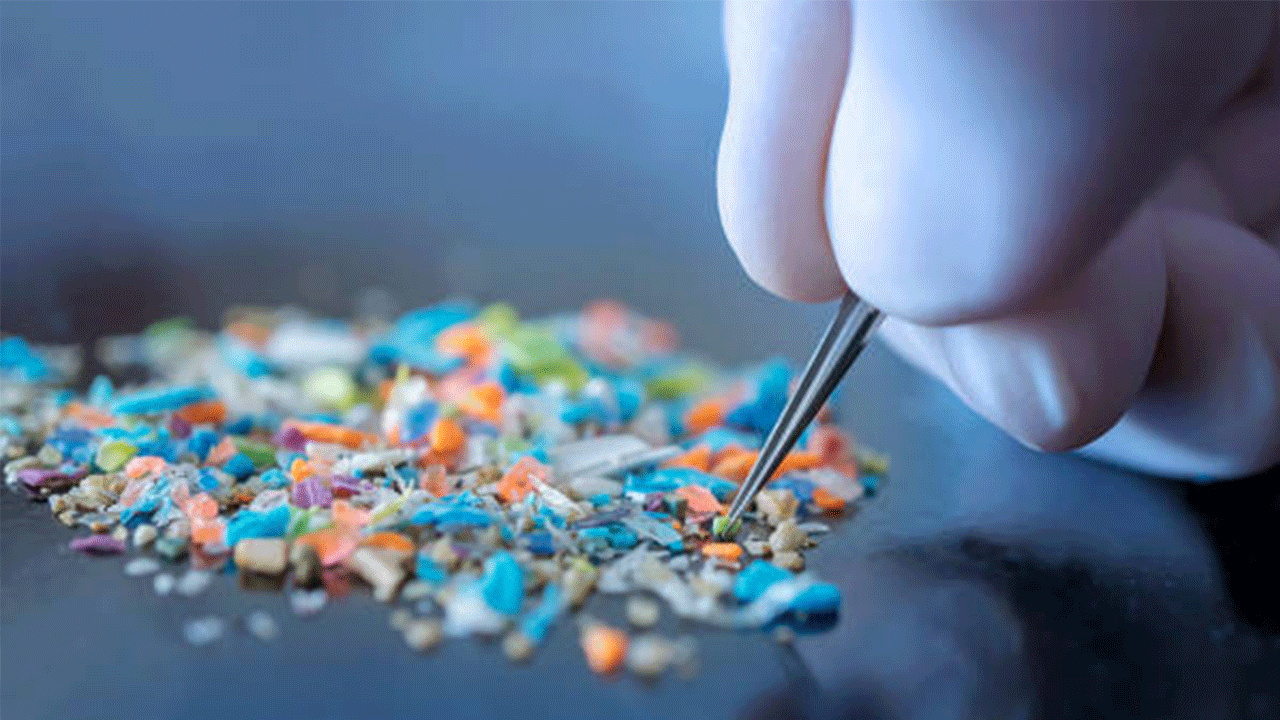 Doğduk, büyüdük ve plastikleştik: Vücudumuzu kuşatan görünmez istilacılar!