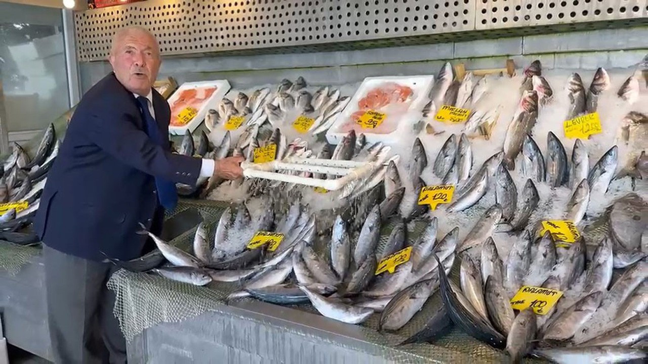 Balık sezonu bereketli başladı: Palamut ve hamsi fiyatları ne kadar?
